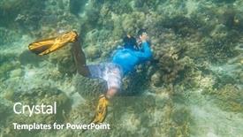  Presentation with tropical reef fish - Slide deck consisting of tropical reef with blue background and a seafoam green colored foreground