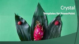  Presentation with fruit lychee - Colorful slides enhanced with tropical ripe fruit lychee backdrop and a teal colored foreground