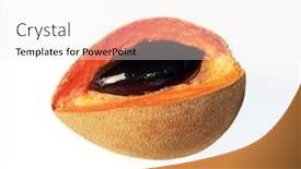  Presentation with tropical fruit - Beautiful presentation design featuring tropical-ripe-fruit-sapote-sliced backdrop and a sky blue colored foreground