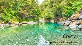  Presentation with new zealand - Slide set with white petals of a nanking cherry blossoms in spring prunus tomentosa note visible grain at 100 best at smaller sizes background and a dark gray colored foreground