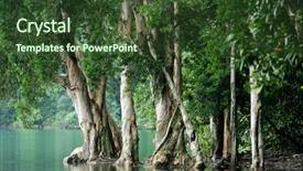  Presentation with tree river - Colorful theme enhanced with delicious birthday cupcakes on table close-up backdrop and a gray colored foreground