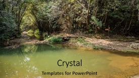  Presentation with tropical forest - Colorful slide deck enhanced with tropical river with green lush backdrop and a  colored foreground