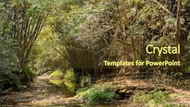  Presentation with river forest - Beautiful PPT layouts featuring tropical river with green lush backdrop and a  colored foreground
