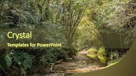  Presentation with tropical forest - Slide deck with tropical river with green lush background and a  colored foreground