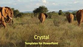  Presentation with savanna - Amazing presentation having tropical savannah - elephants in african savanna tsavo backdrop and a  colored foreground