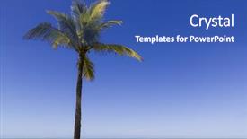  Presentation with bahia - Presentation theme having tropical scene at ponta do apaga fogo beach in arraial d'ajuda - bahia - brazil background and a ocean colored foreground