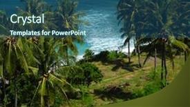  Presentation with palm - PPT theme enhanced with tropical-sea-coast-with-palm background and a ocean colored foreground