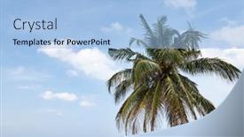  Presentation with deep sea - Beautiful PPT theme featuring tropical sea landscape with palm and deep blue sky summer sea vacation and travel concept with copy space backdrop and a light blue colored foreground