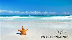  Presentation with tropical - Amazing PPT layouts having tropical sea under the blue backdrop and a light gray colored foreground