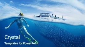  Presentation with shark - Presentation theme consisting of tropical sea with gigantic whale background and a ocean colored foreground