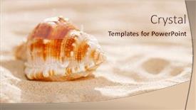  Presentation with seashell - Theme having tropical-seashell-sea-shell background and a lemonade colored foreground