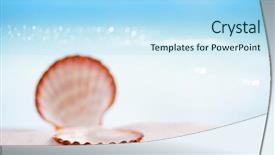  Presentation with florida beach - Colorful slides enhanced with tropical shell on white florida beach sand under sun light shallow dof backdrop and a light blue colored foreground