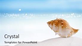  Presentation with florida beach - Presentation theme having tropical shell on white florida beach sand under sun light shallow dof background and a sky blue colored foreground