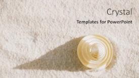  Presentation with seashell - Beautiful PPT theme featuring tropical-spiral-seashell-sea-shell backdrop and a lemonade colored foreground