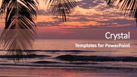  Presentation with palm tree - Cool new presentation theme with tropical sunset over palm tree backdrop and a coral colored foreground