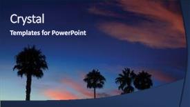  Presentation with palm - Amazing presentation theme having tropical sunset with palm trees backdrop and a navy blue colored foreground