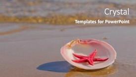  Presentation with treasure - PPT layouts enhanced with tropical symbol beach treasure background and a gray colored foreground