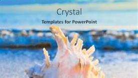  Presentation with divine - Slide deck enhanced with tropical symbol seascape divine background and a light blue colored foreground