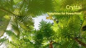  Presentation with fern - Slide deck featuring tropical-tree-fern-background background and a tawny brown colored foreground