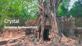  Presentation with ancient chinese tree - Cool new slide deck with tropical tree on ta som backdrop and a  colored foreground