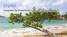  Presentation with friendship - Presentation theme featuring tropical-tree-on-the-beach background and a sky blue colored foreground