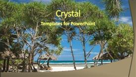  Presentation with white sand - Slides with tropical trees tourism bali ideal background and a tawny brown colored foreground