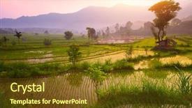  Presentation with rice terraces - PPT layouts having tropical valley with rice terraces background and a tawny brown colored foreground