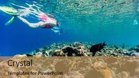  Presentation with clear water - Beautiful presentation theme featuring tropical water at coral reef backdrop and a coral colored foreground