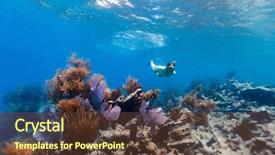  Presentation with clear water - Presentation featuring tropical water at coral reef background and a  colored foreground