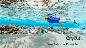  Presentation with water woman swimming underwater - Colorful theme enhanced with tropical water at coral reef backdrop and a mint green colored foreground