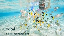  Presentation with clear - Cool new PPT theme with tropical waters among colorful fish backdrop and a lemonade colored foreground