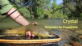  Presentation with fish net - PPT theme with trout fish caught in landing background and a tawny brown colored foreground