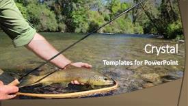  Presentation with fish net - Slide set consisting of trout fish caught in landing background and a violet colored foreground