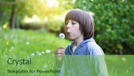  Presentation with green nature - PPT layouts featuring true colors - boy blowing dandelion over blured background and a seafoam green colored foreground