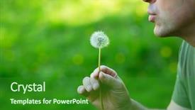  Presentation with green blur floral - Audience pleasing PPT layouts consisting of true colors - man blowing dandelion over blured backdrop and a forest green colored foreground
