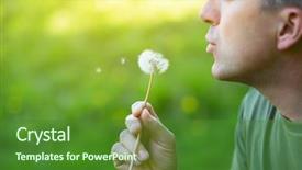  Presentation with green nature - Audience pleasing slide set consisting of true colors - man blowing dandelion over blurred backdrop and a forest green colored foreground