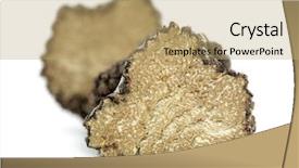  Presentation with mushroom - Colorful PPT layouts enhanced with truffle tuber melanosporum mushroom backdrop and a coral colored foreground