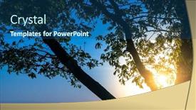  Presentation with oak tree - Slide deck consisting of trunk-and-branches background and a ocean colored foreground