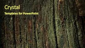  Presentation with lichen - Presentation theme enhanced with trunk-and-lichen background and a wine colored foreground