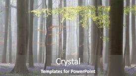  Presentation with spring tree - Colorful presentation design enhanced with trunks and violet blue bluebell backdrop and a gray colored foreground