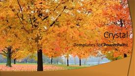 Presentation with trust - Slide set with trust fall - autumn foliage in arlington circa background and a gold colored foreground