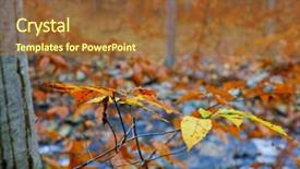  Presentation with trust - PPT theme featuring trust fall - autumn foliage with colorful trees background and a  colored foreground