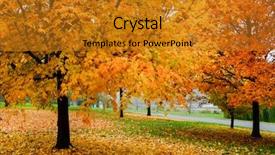  Presentation with fall foliage - Colorful presentation theme enhanced with trust fall - autumn foliage with colorful trees backdrop and a  colored foreground