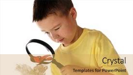  Presentation with looking glass - Slides having trying to study a butterfly background and a yellow colored foreground