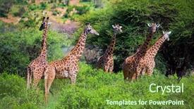  Presentation with west africa - Audience pleasing slides consisting of tsavo west kenya africa backdrop and a tawny brown colored foreground
