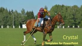  Presentation with polo - 