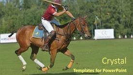  Presentation with polo - 