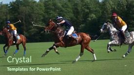  Presentation with polo - 