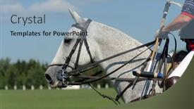  Presentation with polo - 