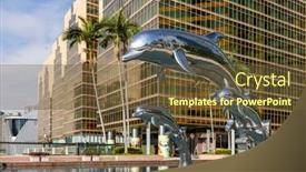  Presentation with dolphin - 